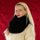 Bild 10 von 40