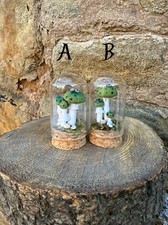 Glass Dome Green Mushroom / Toadstool Terrarium Home Decor