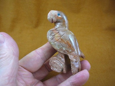 y-bir-pa-401) PARROT Macaw bird red tan gemstone SOAPSTONE carving I love birds