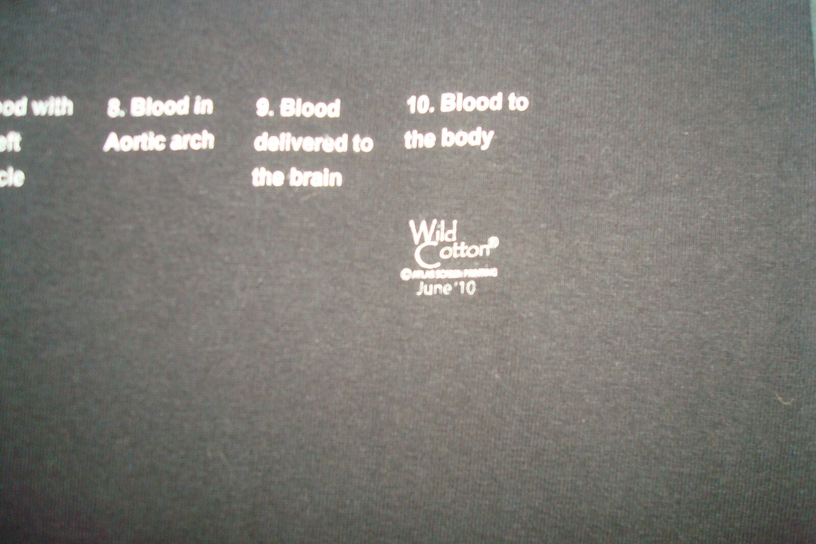 Picture 3 of 6