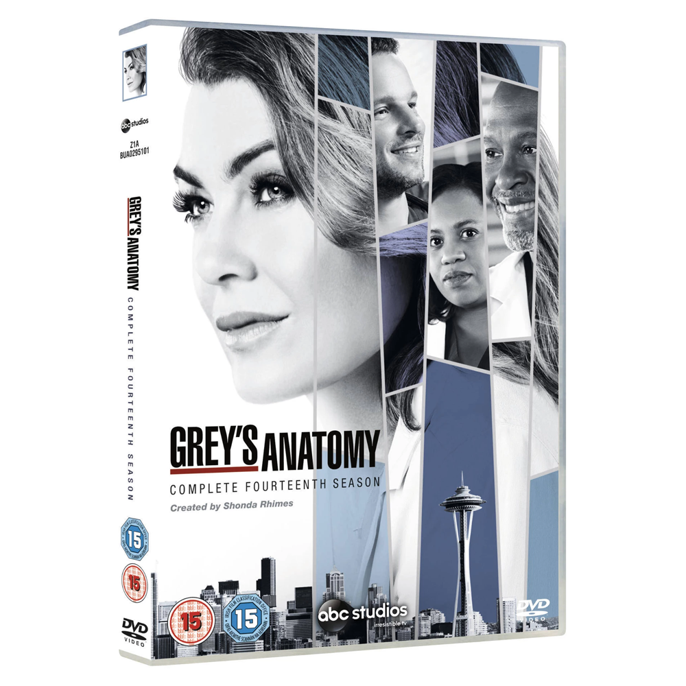Grey's Anatomy: Season 14 [15] DVD Box Set