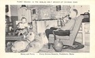 Waldoboro Maine Perry Greene Chinook Dog Breeder Vintage Postcard Aa102813