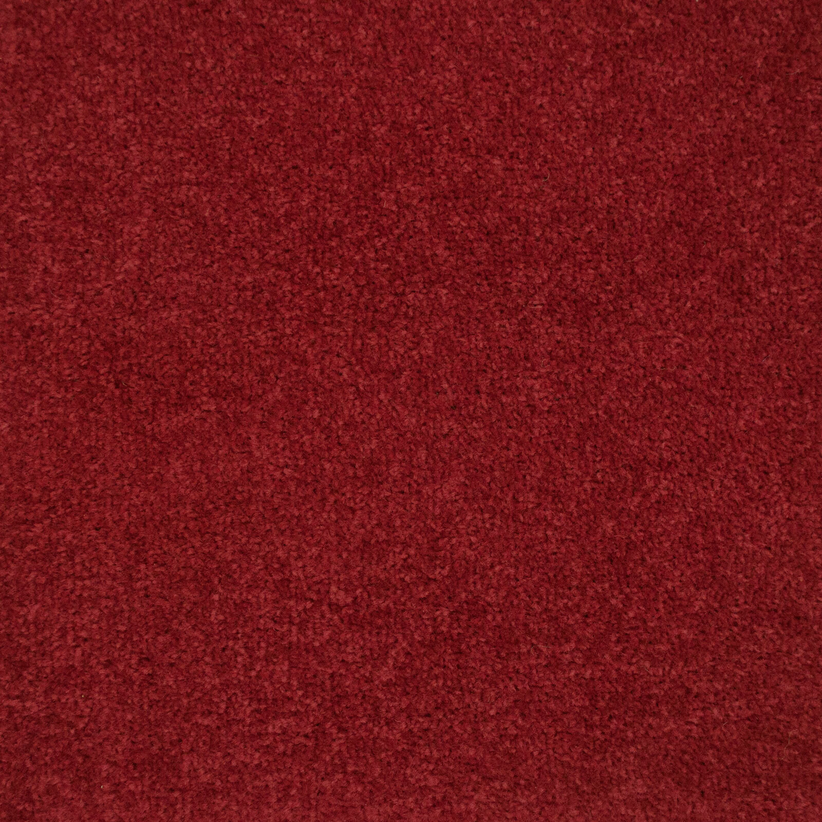 Cheap Carpet Twist Pile Quality Feltback Hardwearing Carpets Lounge