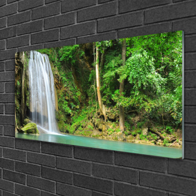 Glasbilder 100x50 Wandbild Druck auf Glas Wasserfall Wald Natur