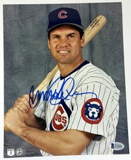 Chicago Cubs Collecting and Fan Guide 76