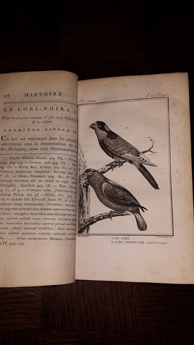 HISTOIRE NATURELLE GENERALE ET PARTICULIERE T 63-64 - Buffon An X - Ornithologie - Picture 3 of 7