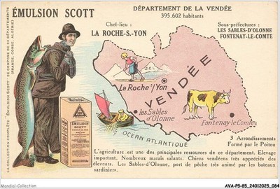 AVAP5-0391-85 - LA ROCHE SUR YON - Scott Emulsion