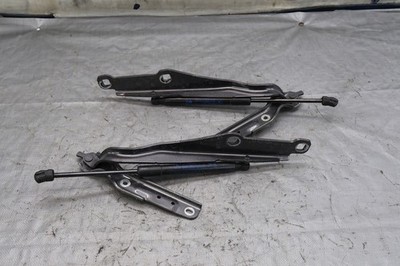 2023 DODGE CHARGER HELLCAT 6.2L OEM RH LH HOOD BONNET HINGES STRUTS SHOCKS