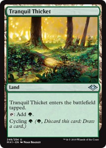 Tranquil Thicket x4 - Modern Horizons - NM-Mint, English - Modern Horizons