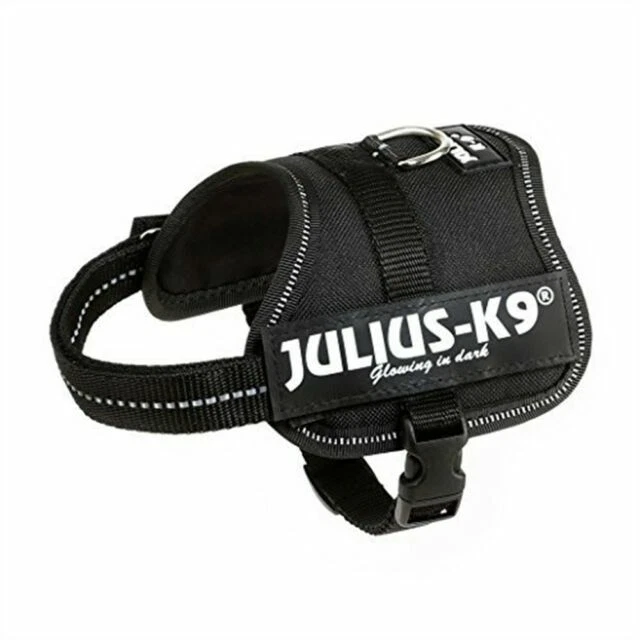 Julius-K9 Pug Dog Harnesses