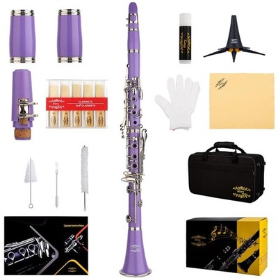 Professional B Flat Clarinet Kit + Accessories