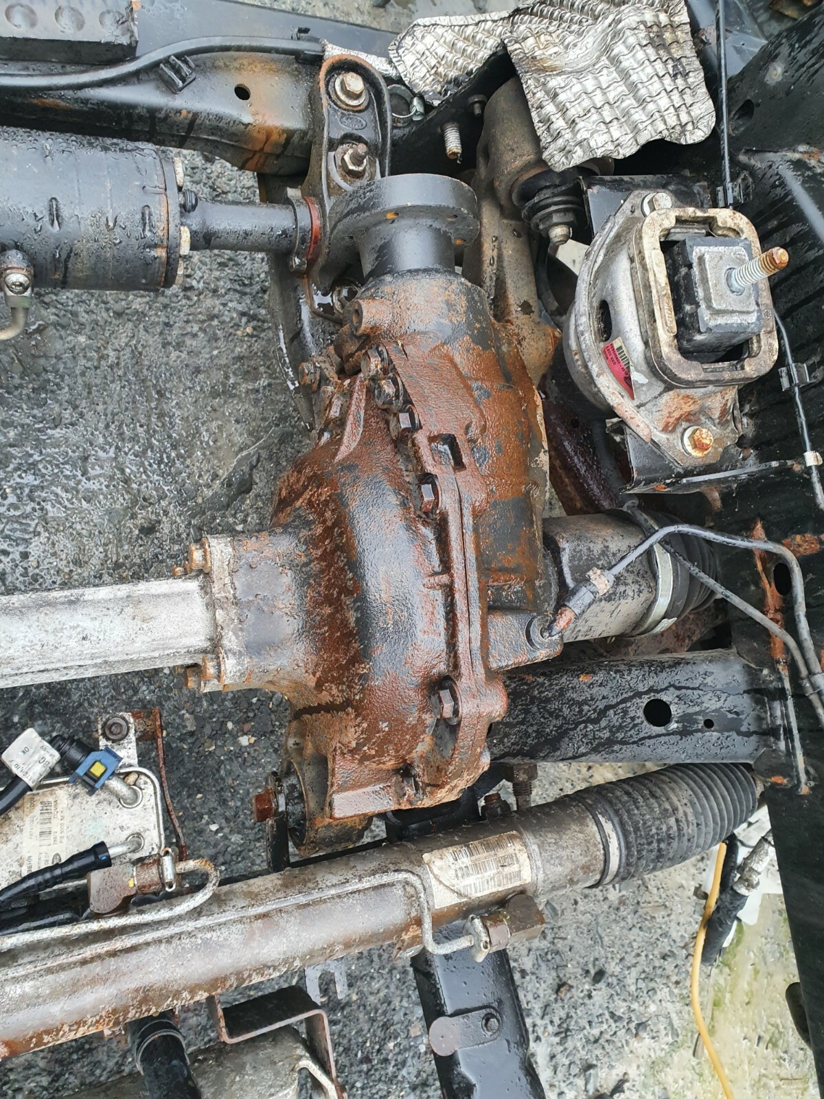 Picture 1 of 1