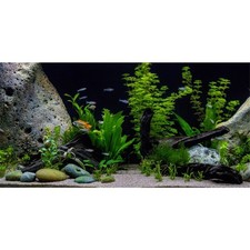 Underwater Aquatic Fish Tank Background Stone Aquarium Backdrop 72x24 in