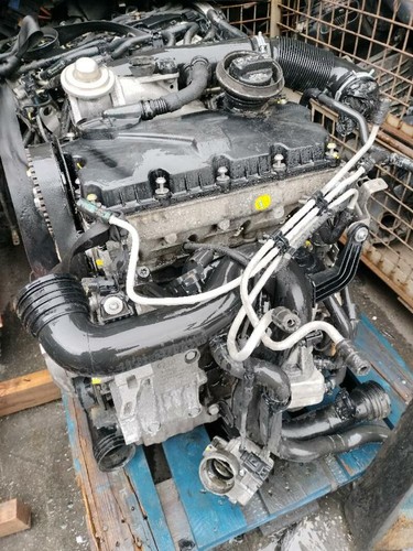 zylinderkopfhaube VOLKSWAGEN GOLF V 1K1 2003- susop392961