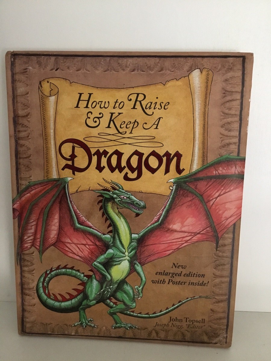 洋書 The Rise of the Dragon: Volume One Amazon.com: The Rise of the Dragon: An Illustrated History