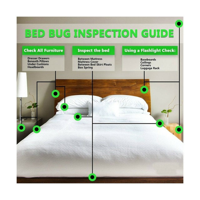 Bed Bug Patrol Killer 100 Natural Non Toxic Environmentally