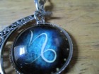Bild 53 von 66