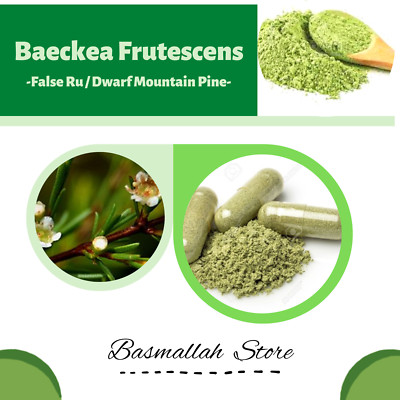 CAPSULES False Ru Dwarf Mountain Pine Shrubby Baeckea Weeping Coast Myrtle