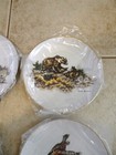 6 Clark Bronson Exclusive Decorator Collection Ltd Edition Plates wildlife Case — photo 8