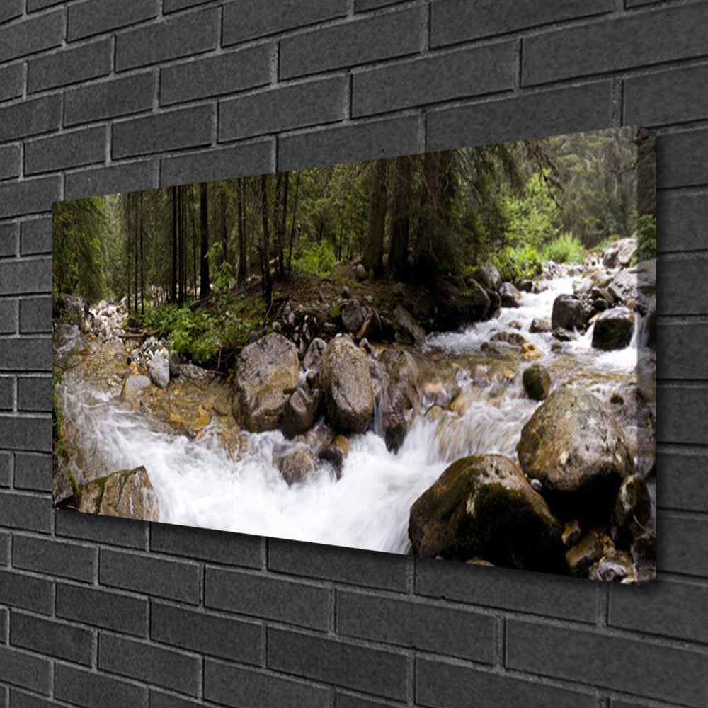 Photo sur toile nature 100x50 cm avec motif de forêt et ruisseau pour décoration murale de salon