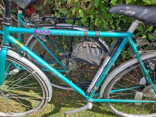 A pair of vintage Dawes Easy Street bicycles, one cross bar, one step through