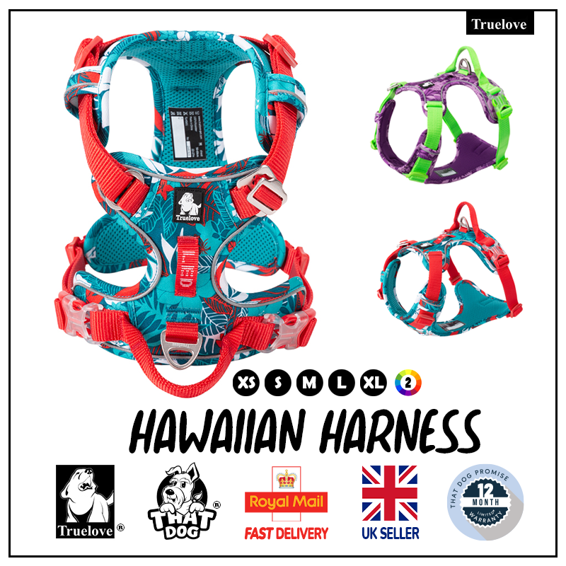 Dog Harness Truelove Floral Special Hawaiian Easy No-pull Red Blue