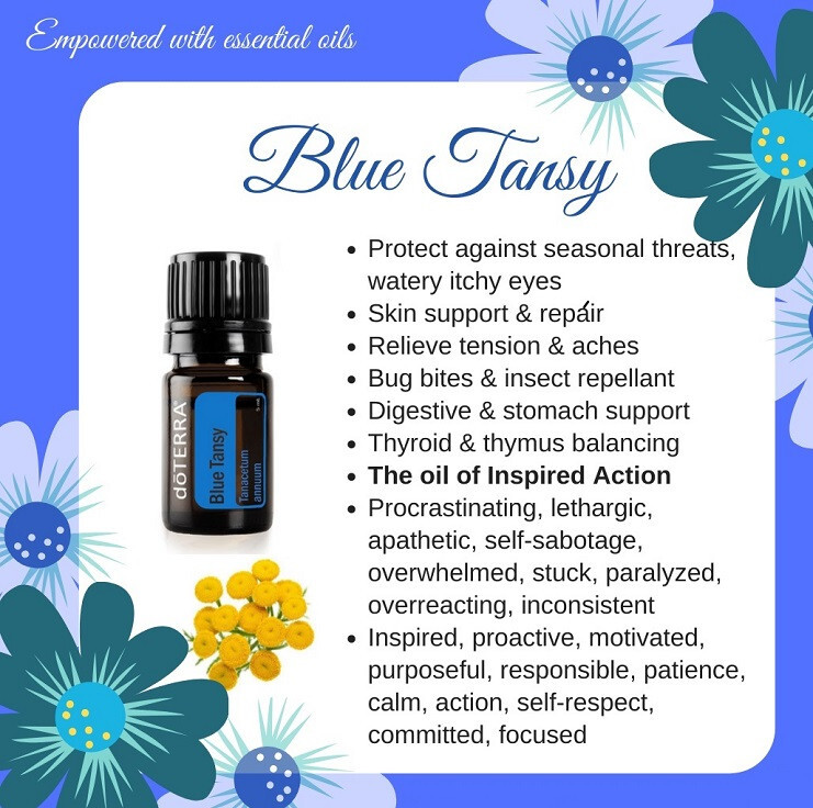 dōTERRA Blue Tansy 5mL doTERRA BLUE TANSY 5ML ESSENTIAL OIL BRAND NEW SEALED. RRP £129.67