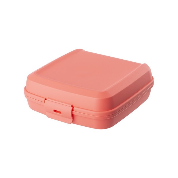 1X Lunchbox Vesperdose Brotdose Plastikdose FüR Kinder Bpa-Frei Lachs-image