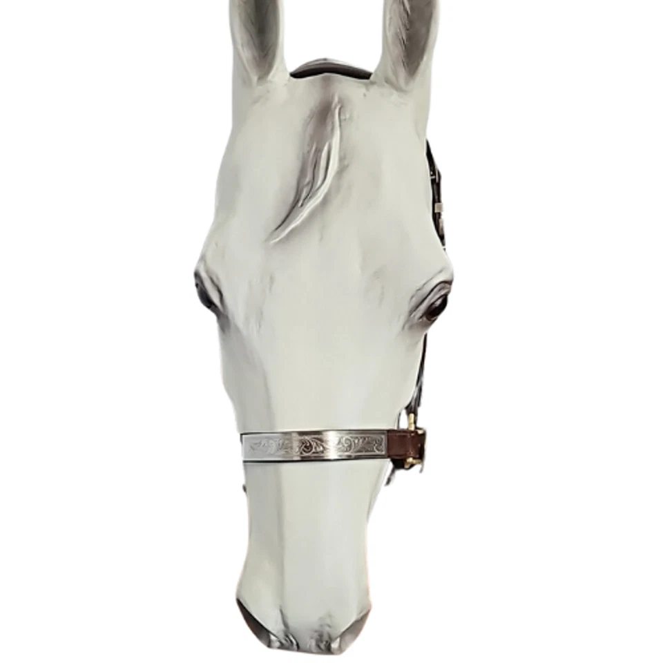 Halter Circle Y Western Silver Show #602 tamaño promedio de caballo Foto 4 de 4