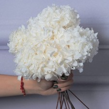 5 PCS Dried Preserved White Hydrangea Flowers - Length 14'' Corolla Size 3''-...