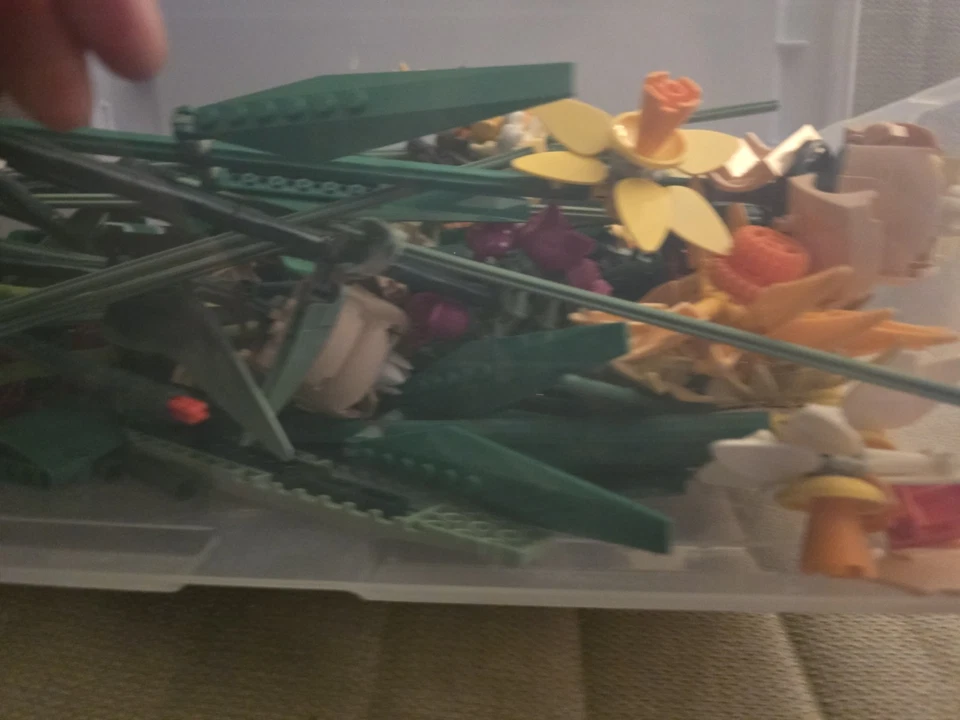 Lote LEGO Botanicals Foto 4 de 4