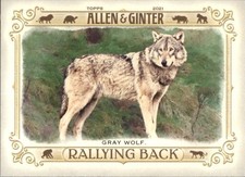 2021 Topps Allen & Ginter #RB-1 Gray Wolf Rallying Back