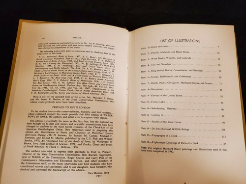 Waterfowl In Iowa, State Conservation Commission, 1977 Fifth Edition - Picture 5 of 12