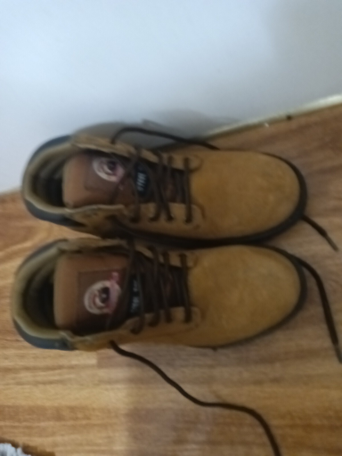 Brahma Men's Alpha Waterproof 6" Steel Toe Work Boots Gem