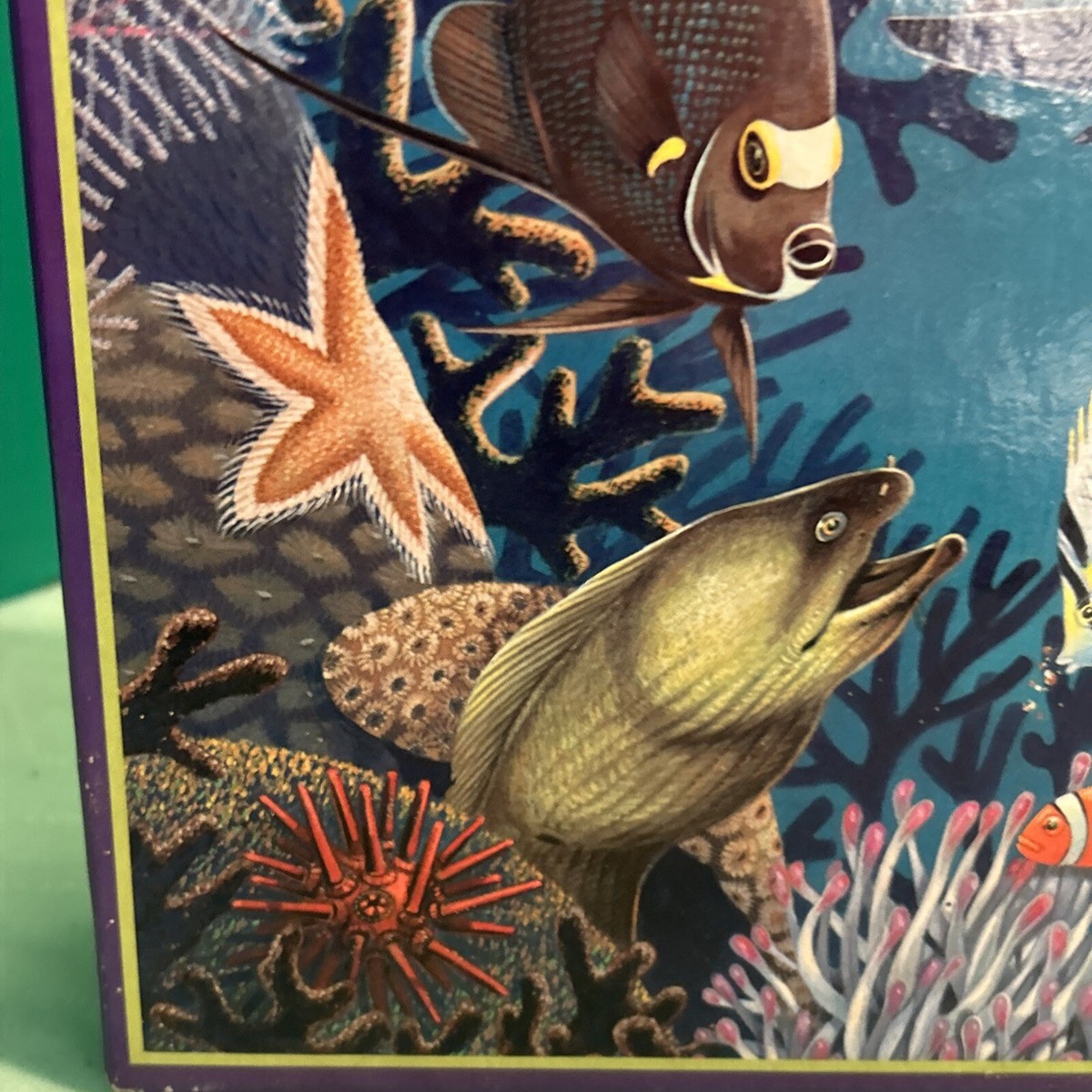 コンピュータ・IT Deep Sea Fishes Scientists film new fish species at record depth more than