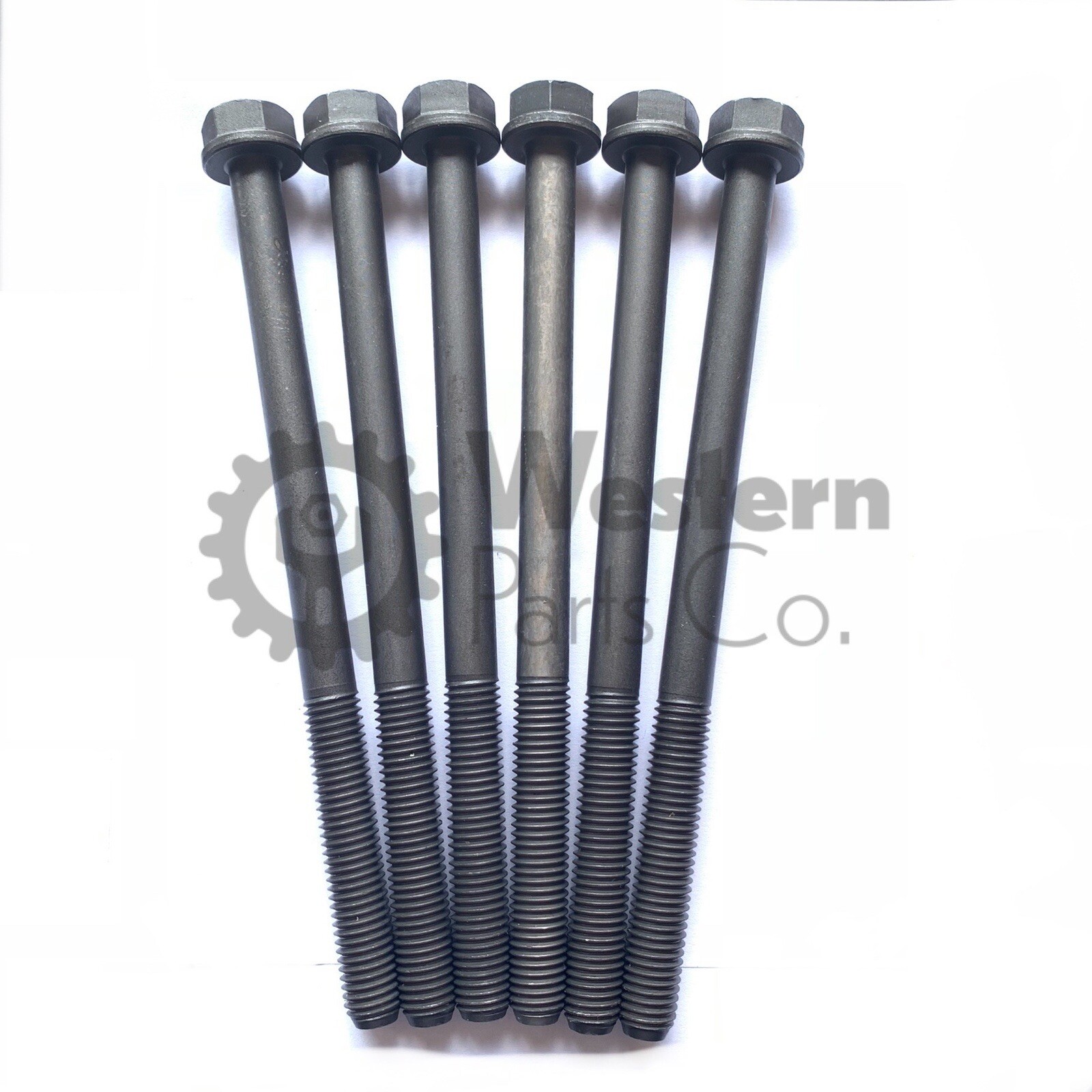 Genuine Cylinder Head Screw set for Cummins for 4bt/6bt 12v 3920779/3920780/81 eBay