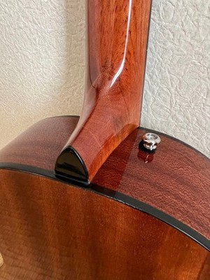 Fender 3/4 Sonoran California Series Case Strings | eBay