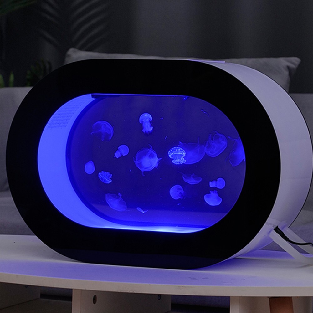 Kit de tanque de acuario de medusas de escritorio ovalado para tanque de medusas vivas reales 8 L