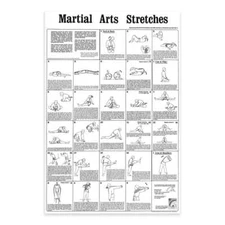 Martial Arts Stretches Poster Dojo or wall