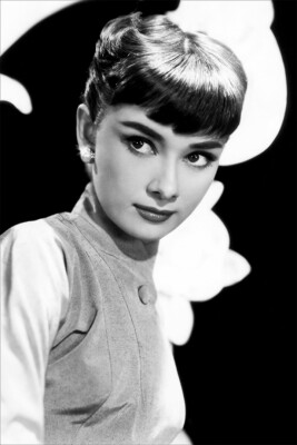 Hepburn Audrey Fashion Actress Model Charitable Print Wall Art - POSTER 20x30