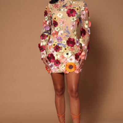3D Floral Dress Sheer Embroidered Mesh Mini Dress, Red Carpet | eBay 3D Floral Dress Sheer Embroidered Mesh Mini Dress, Red Carpet | eBay