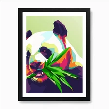 Panda, Pop Art, Nature, Abstract, W Framed Wall Art Poster Canvas Print Picture