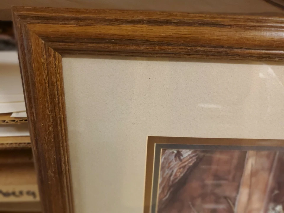 Steve Hanks "Zapatos grandes para llenar" Conservación enmarcado #404/1500 con certificado de autenticidad Foto 2 de 4