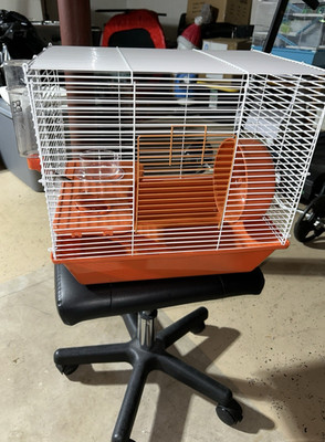 Orange and White Hamster Cage with Wheel, Water Bottle, Single Tier