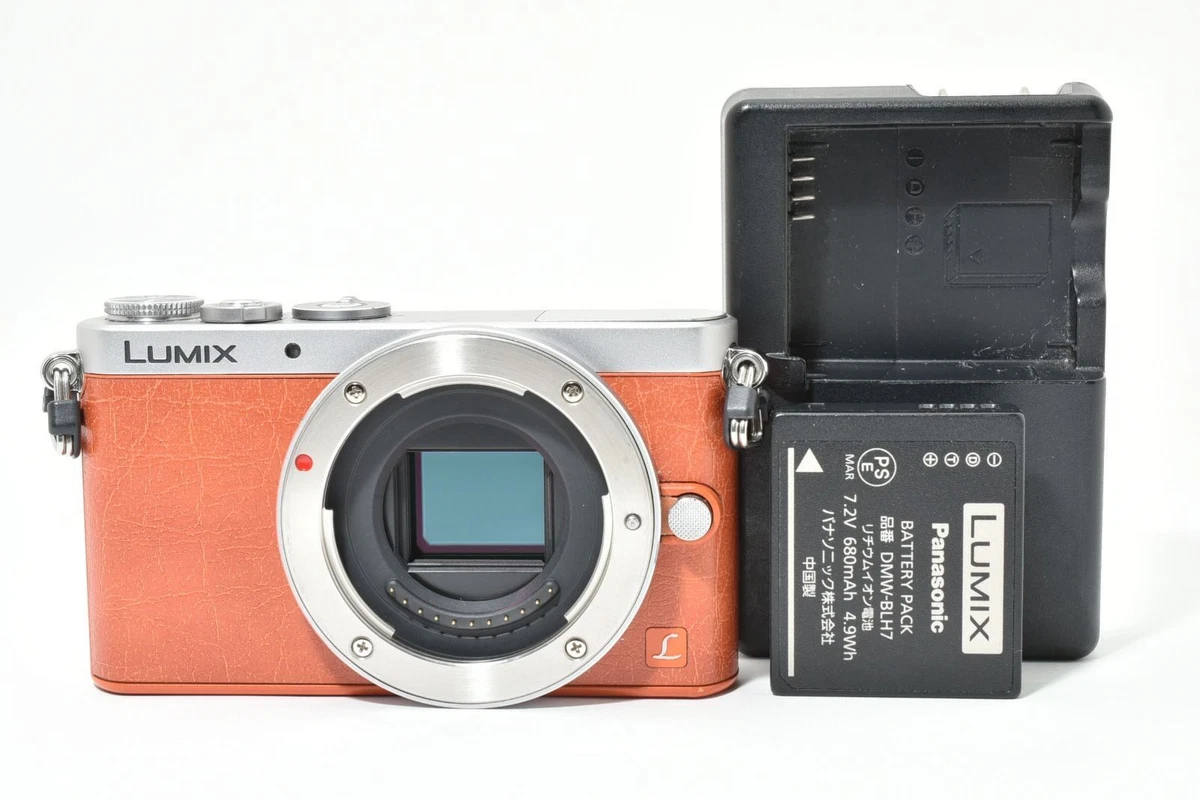 Panasonic LUMIX GM1 Digital Cameras for sale | eBay