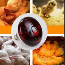 Poultry Heat Lamp Infra Red Heat Lamp Hatching Puppies Piglet Waterproof Bulb