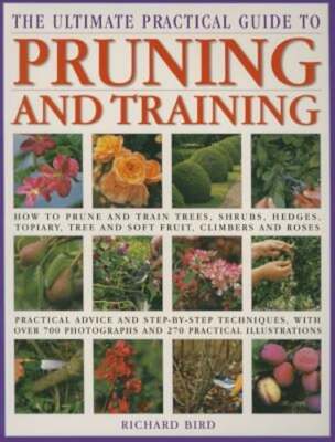 The Ultimate Practical Guide to Pruning & Training: How to Prune and Train Trees