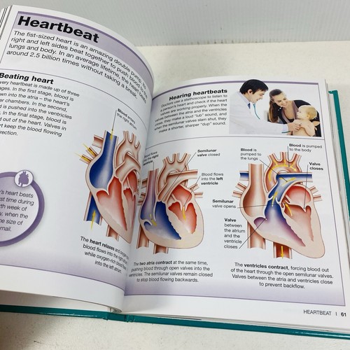 Pocket Eyewitness Human Body Facts at Your Fingertips (Hardcover, 2013) - Picture 10 of 11