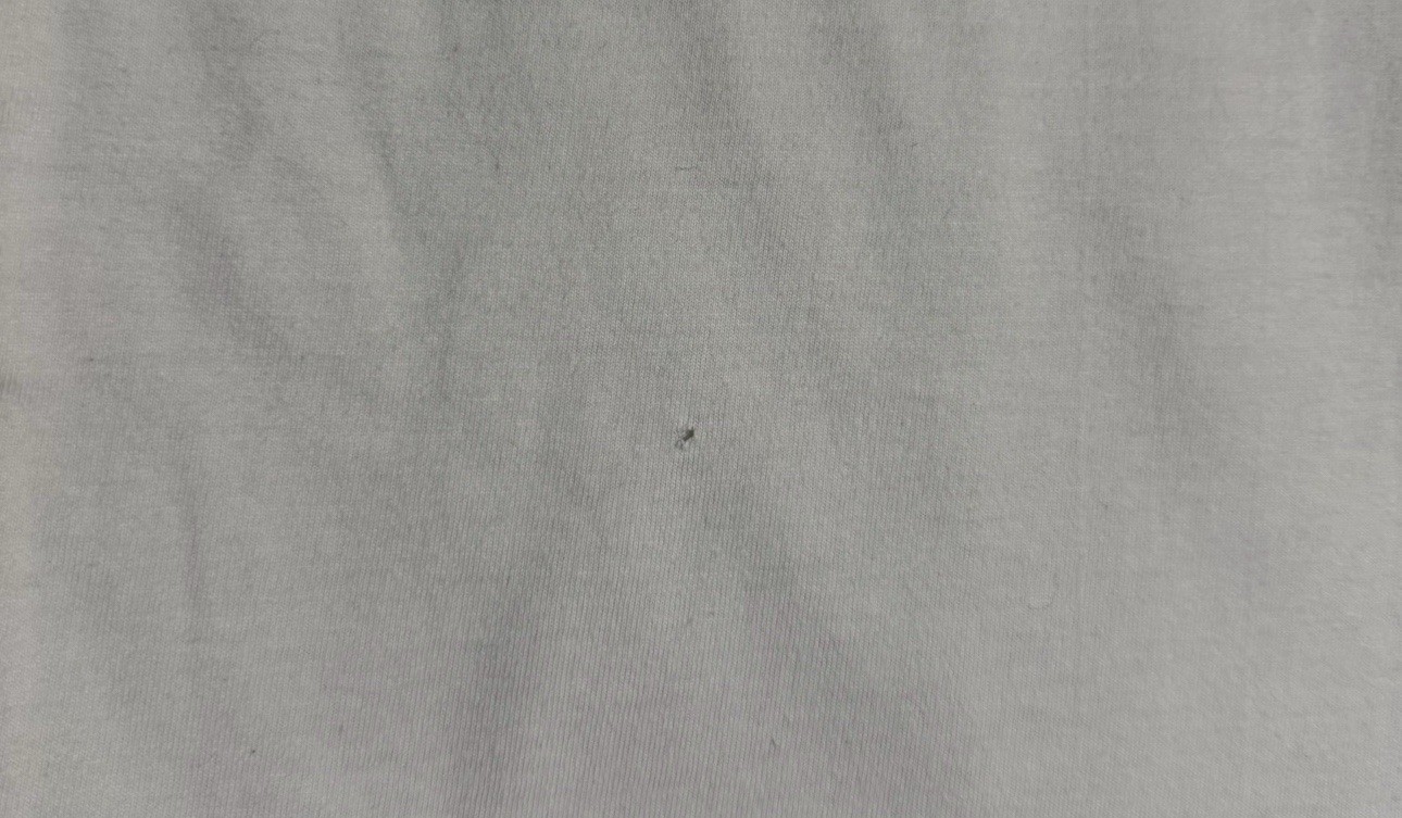 Picture 8 of 10