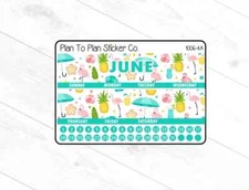 1006-4C~~June 8.5X11 Monthly View Planner Stickers.